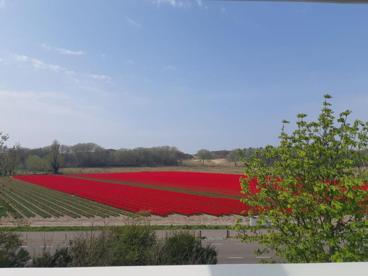 4T4 Apartment C Egmond aan den Hoef Zewnętrze zdjęcie
